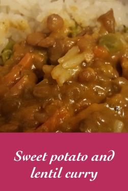 Sweet potato and lentil curry vertical.jpeg